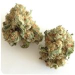 Шишки "White Widow" (Белая вдова) Гидропоника - Бошка VHQ в Дятьково Шишки "White Widow" (Белая вдова) Гидропоника - Бошка VHQ в Дятьково