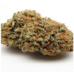 Шишки AK47  (Гидропоника, Бошка) VHQ в Дятьково